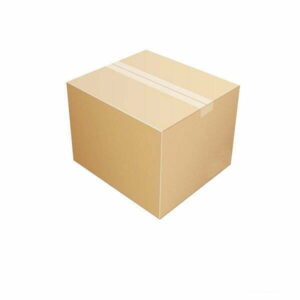 Hộp Carton 20x9x8 cm